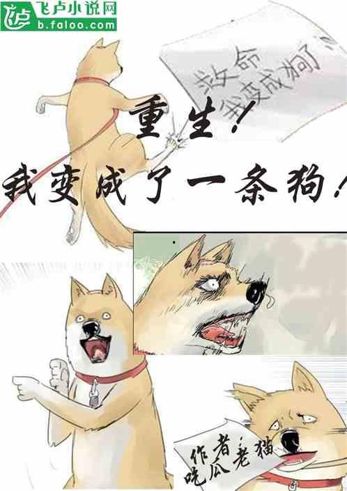 吃瓜能人小说,揭秘娱乐圈背后的秘密与真相