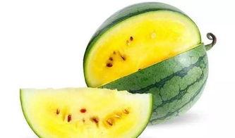 瓜瓜哥带你吃瓜,尽享“吃瓜”乐趣