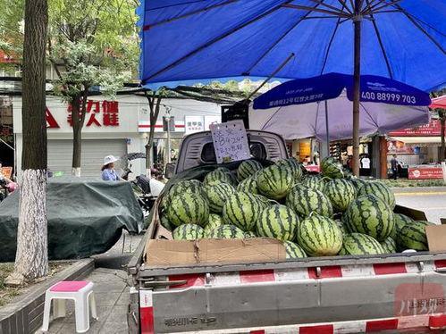 成都彩虹姐妹吃瓜,揭秘网络热议背后的真相