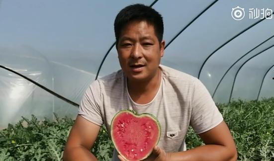 吃瓜送老婆,一场甜蜜的瓜果盛宴