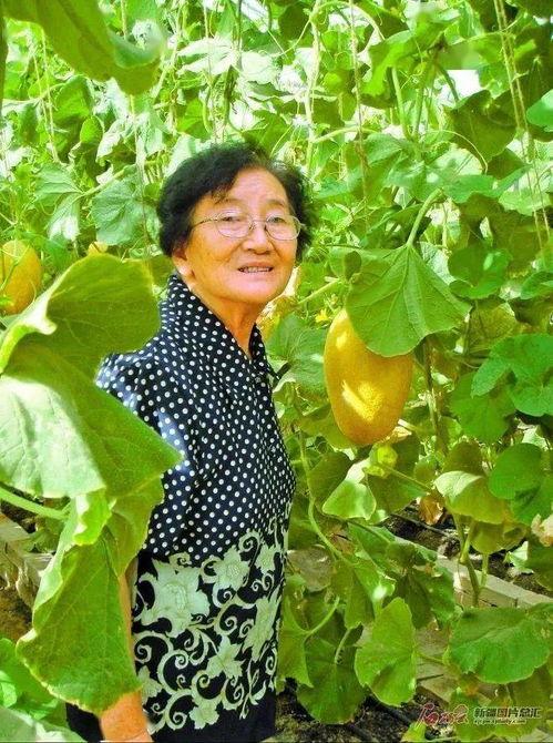 王翠花吃瓜,揭秘娱乐圈背后的秘密